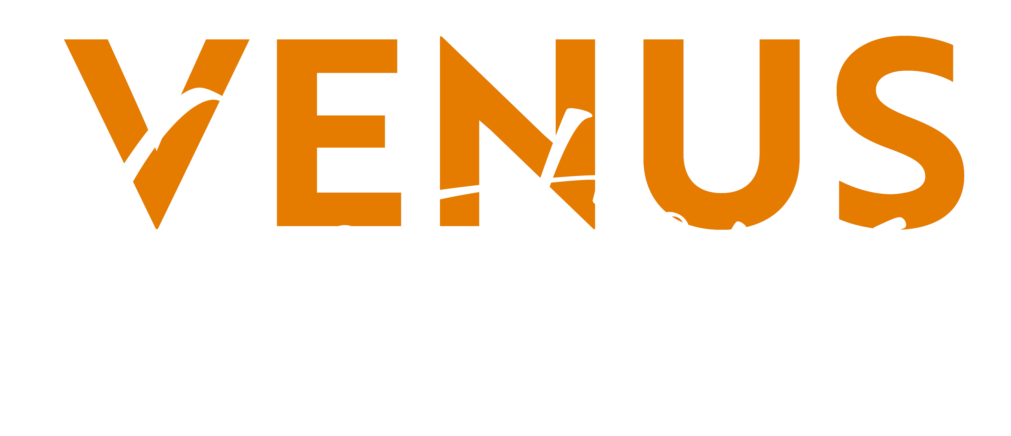 Venus%20C%20Text%20T Shirt%20Back%20Print%20Orange%20%26%20White%20